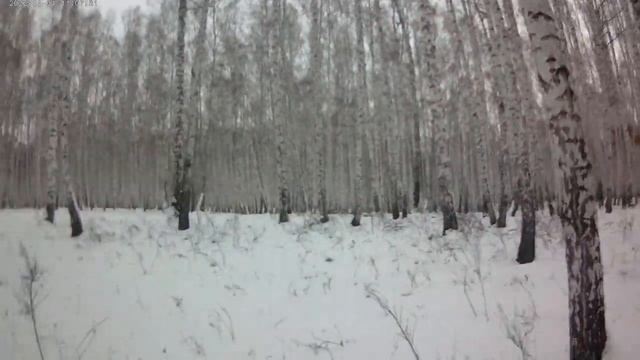 Отота на куницу с РЕЛ смотреть онлайн