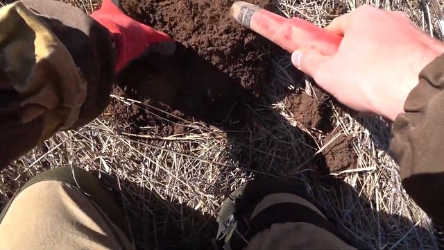 Шикарные находки на месте старой деревни. Весенний коп 2023 с XP Deus смотреть онлайн