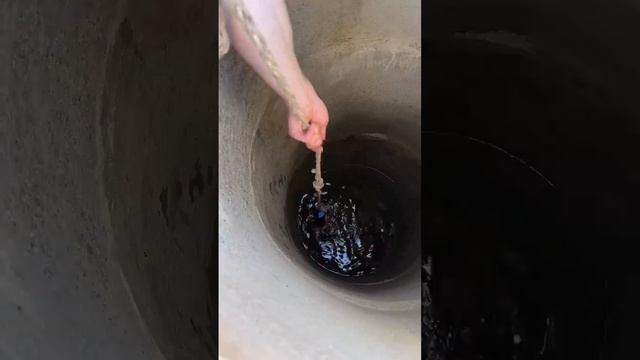 Странные звуки внутри заброшенного колодца