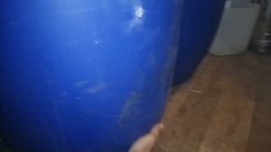 Кукуруза на кодзях, горячий старт