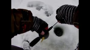 Рыбалка на реке Большой Иргиз  04 01 2021 года