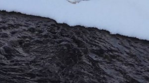 Нёнокса - жемчужина Поморья!
