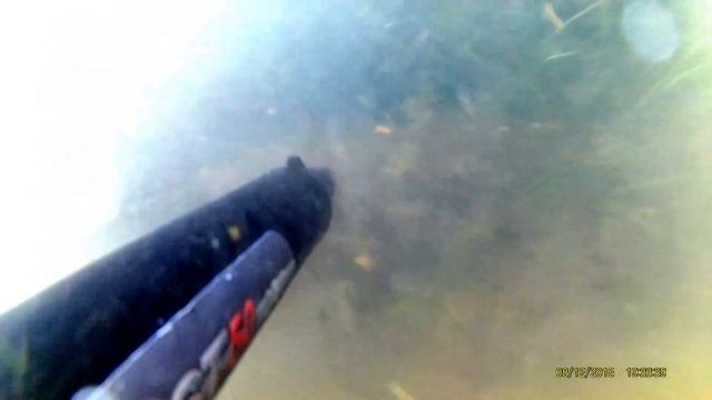 Еще один пиленгас смотреть онлайн