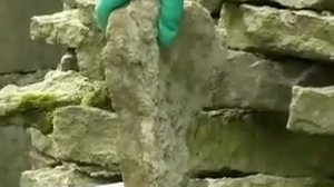 Неомид 600 Удалитель плесени.mp4