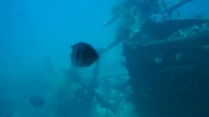 затонувшие корабли в красном море