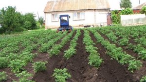 купил трактор скаут-т15 четыре года назад