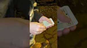 Как зарядить колоду на правдивое гадание?
