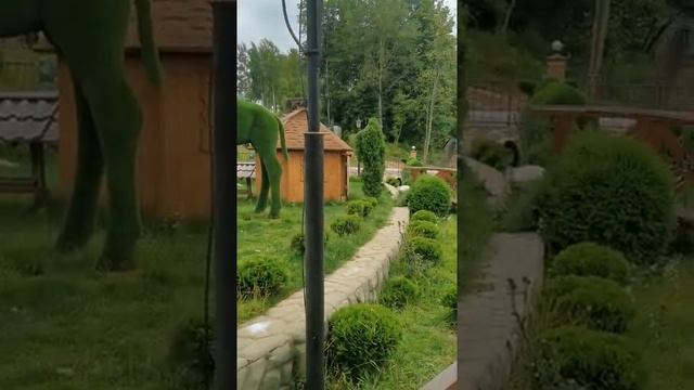 Фламинго и пиликан в зоопарке. Flamingos and pilicans at the zoo