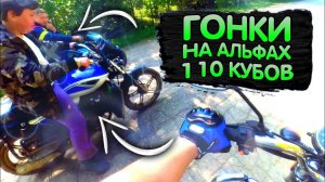 ГОНКА НА МОПЕДАХ АЛЬФА | ALPHA RX 110 VS ALPHA RX LUX 110 VS ALPHA RS 110