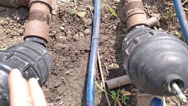 спасаем перец от табачной мозаики смотреть онлайн