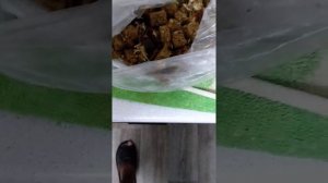 Ловля Раков с помощью раколовки Часть 1.  приманки сало и чеснок и черный хлеб