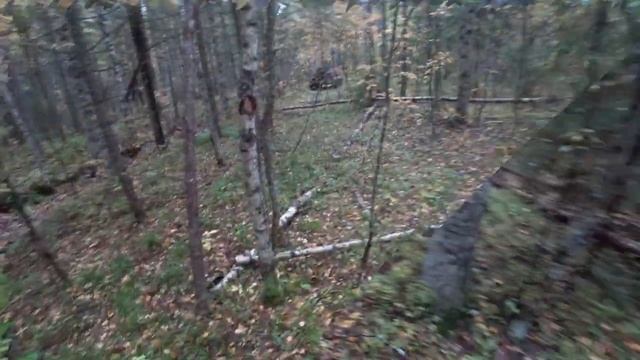 Коп на Вездеходе с ночёвкой. С ног сшибательная находка!!! смотреть онлайн