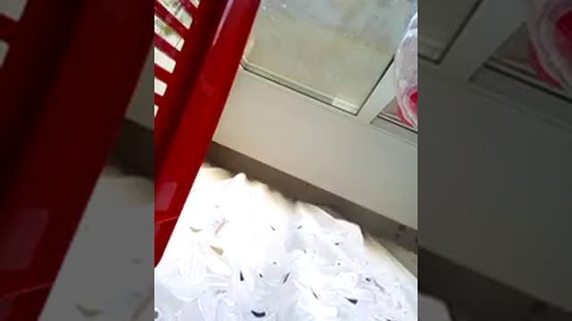 Майские жуки смотреть онлайн