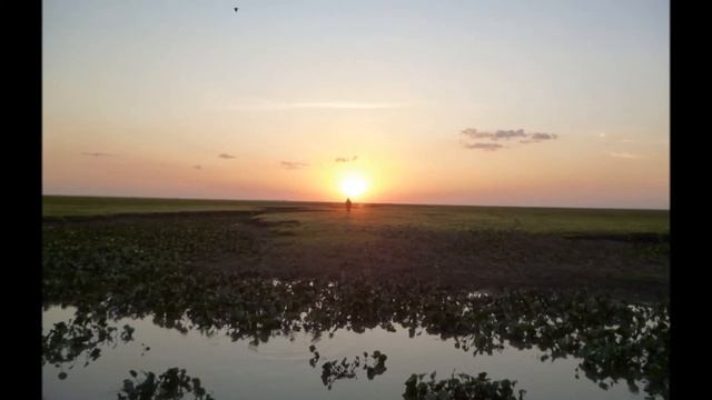 Renny Araque - Los cimarrones смотреть онлайн