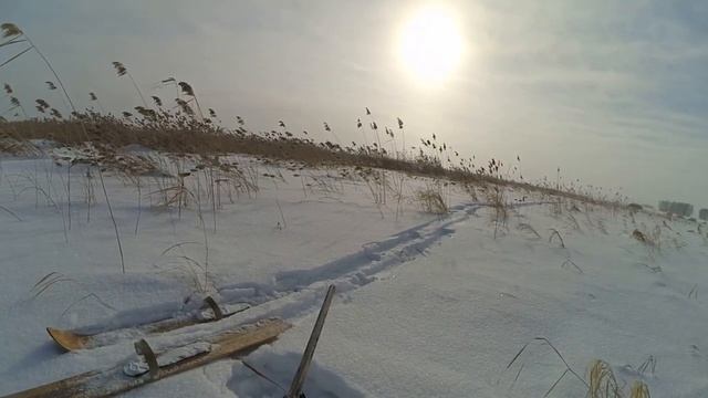 14 февраля 2023г. Охота на зайца. Закрытие зимнего сезона охоты! смотреть онлайн