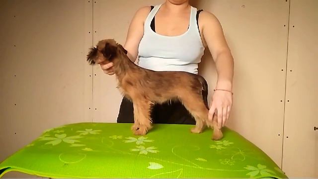 6 апреля 2018 г. смотреть онлайн