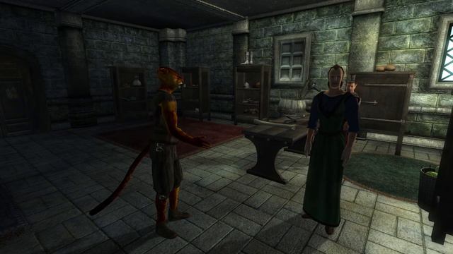 The Elder Scrolls IV: Oblivion: Приколы