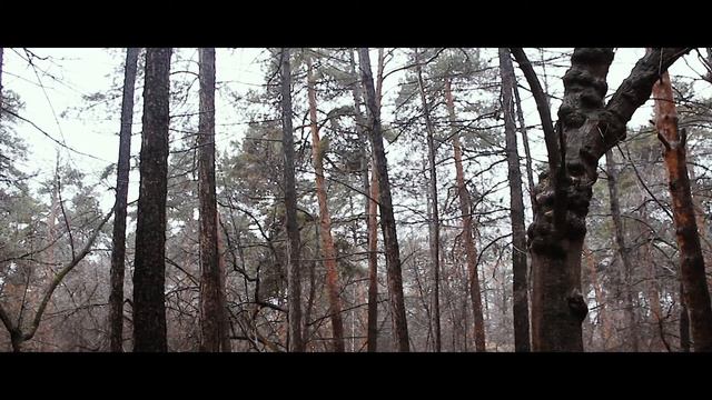 Связь 2 смотреть онлайн