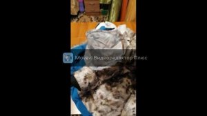 КАК ЗАШИТЬ ДЫРКУ В КАРМАНЕ КУРТКИ