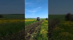 Дисковый плуг ПД- 2,1 обрабатывает поле заросшее сорняками.