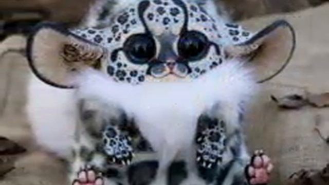 Ну очень няшные животные смотреть онлайн