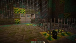 КАК МЕНЯЛАСЬ ДЕВУШКА РАДИАЦИЯ И ЕЁ ЖИЗНЕННЫЙ ЦИКЛ В МАЙНКРАФТ ЭВОЛЮЦИЯ РАДИАЦИИ МУЛЬТИК