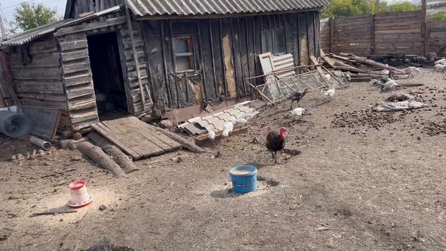 18-09-2023 смотреть онлайн