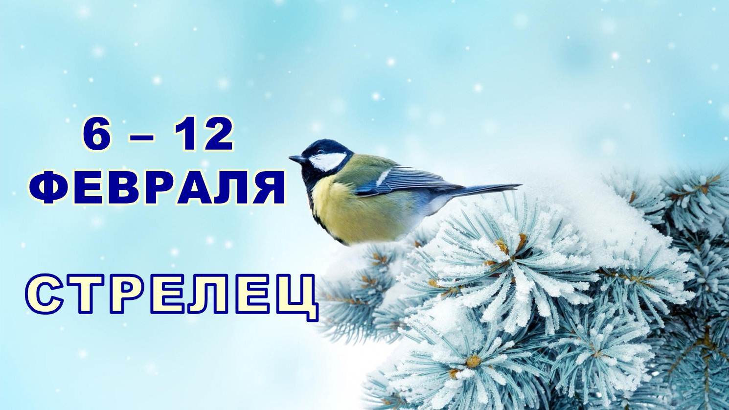 ♐ СТРЕЛЕЦ. ❄️ С 6 по 12 ФЕВРАЛЯ 2023 г. ✨️ Таро-прогноз ?