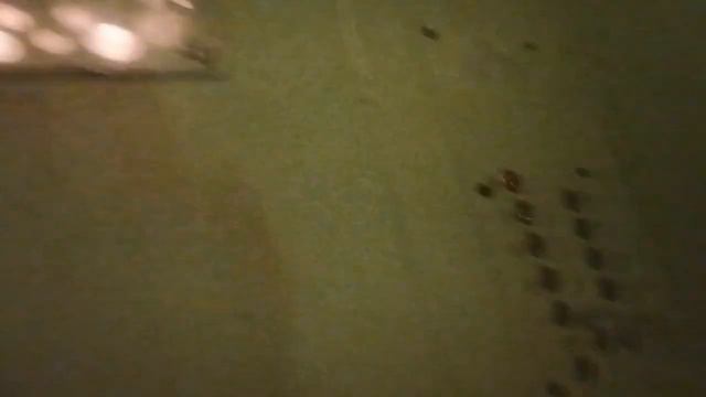 лифт МЛМ 2006 г.в///улица Молодежная 178/// смотреть онлайн