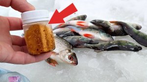 1 н ловит остальные смотрят!  Дед использовал секретную зимнюю прикормку которая выкашивает всю бель