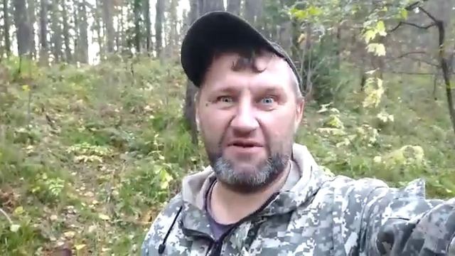 Опята Красноярск. смотреть онлайн