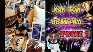 Как бесплатно получить iPhone  или Той терьер начал зарабатывать