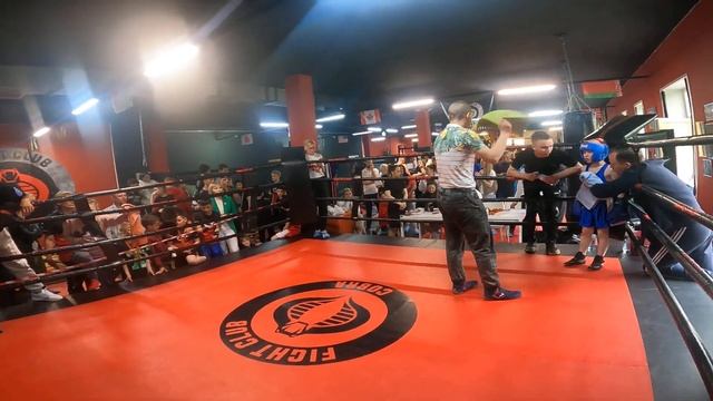 Кобра 29.05.23 бои от 1 лица. смотреть онлайн