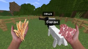 Завел овец на ферме!-Minecraft симулятор фермера