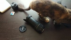 Обзор Canon EOS 30D