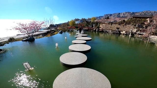 Цветение сакуры на Южном Берегу Крыма. Японский сад в самом крутом отеле Европы