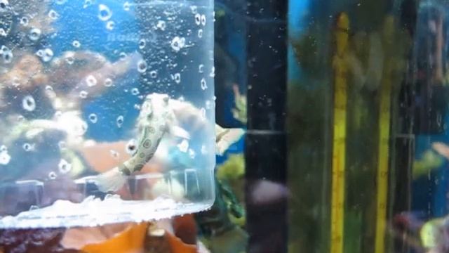 MVI 5421 смотреть онлайн