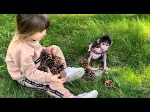 Как Ангелина и Люся делили БЕЛОЧКИНЫ ШИШКИ)