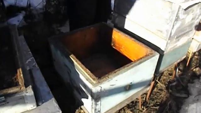 зимовка пчел с увеличенным пространством и верхней вентиляцией, и результат такой зимовки смотреть онлайн