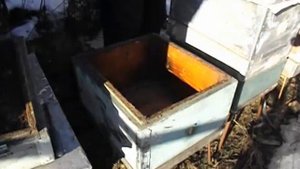 зимовка пчел с увеличенным пространством и верхней вентиляцией, и результат такой зимовки