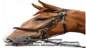 Как запрягать лошадь