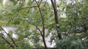 Бедные люди.