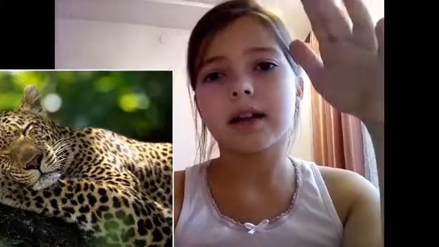 Чем отличаются теплокровные животные от холоднокровных?