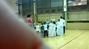 Capoeira 3