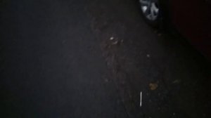 функция сопровождения Dongfeng H30 Cross