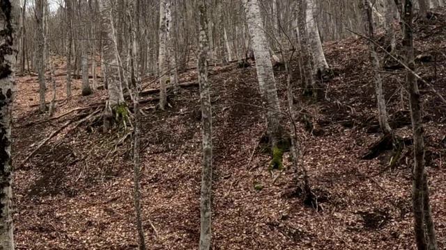 Весеннее ENDURO обострение испытай себя в деле! 