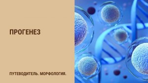 Прогенез