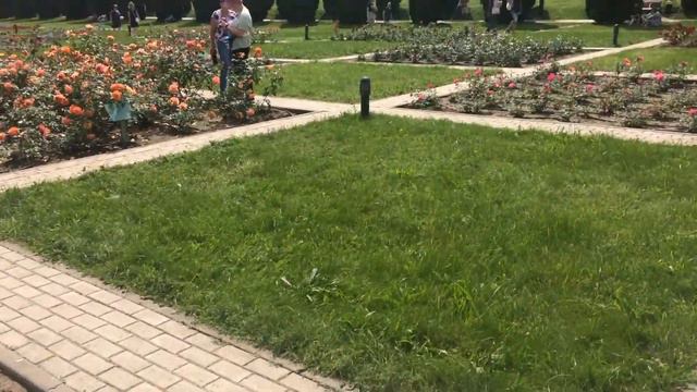 Долина роз (город Кисловодск)