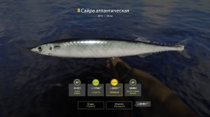 Русская рыбалка 4 НОРВЕЖСКОЕ МОРЕ ФАРМ НА 34 БАНКЕ