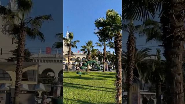 Зимний Сочи💙#сочи#краснодарскийкрай#пальма#солнце#новыйгод#яхтапарус#прогулка#парк#отдых#море#лайк смотреть онлайн